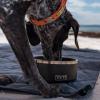 imageYETI Boomer 8 Stainless Steel NonSlip Dog Bowl Holds 64 OuncesRiver Green