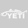 Trout
