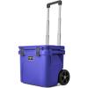 Ultramarine Violet