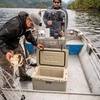 image:imageYETI Tundra 45 Cooler Tan with ICE Sheet Refreezable Reusable Cooler Ice Pack Large