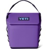 Pace Purple/Blue